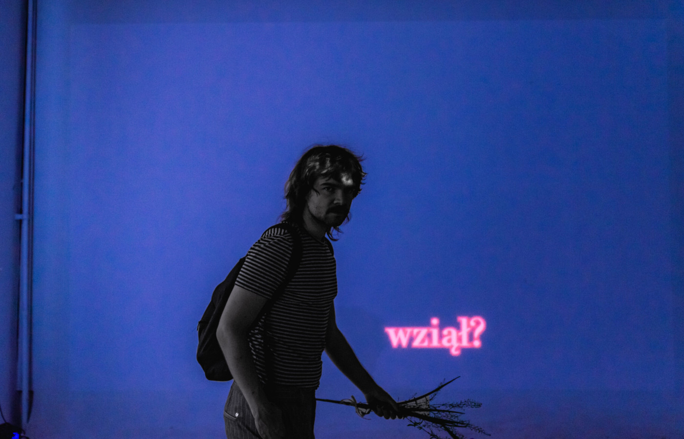 Przepoczwarzenia i autor Przepoczwarzenia i autor