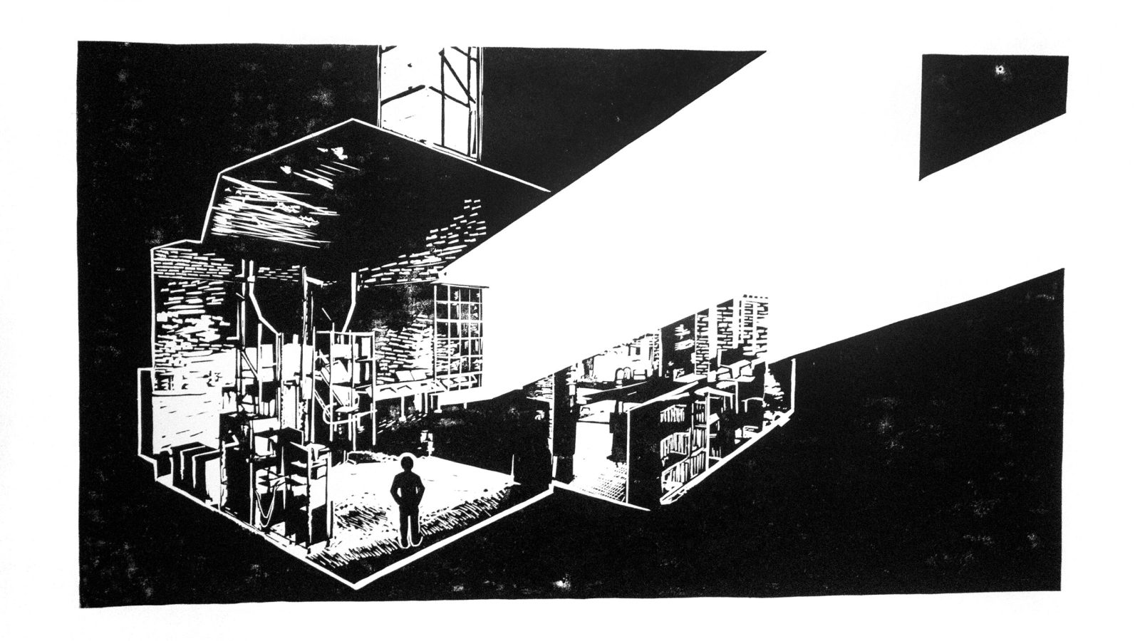 Poza 4 Klein Lab